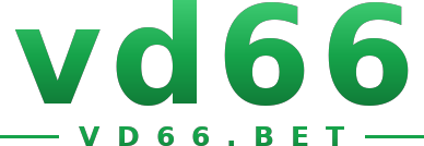 vd66 logo